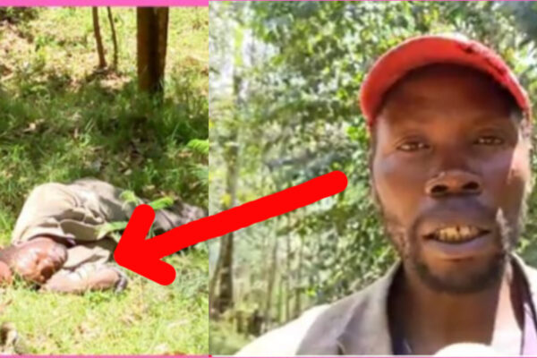Amaze imyaka 17 yibera mu ishyamba, Kanani Jean Bosco aratabaza Leta.