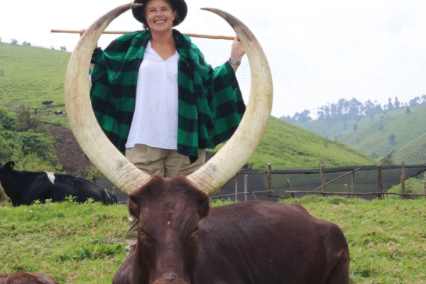 Ambasaderi w’u Bwongereza mu Rwanda yishimiye gukama inka ku nshuro ya mbere i Bigogwe