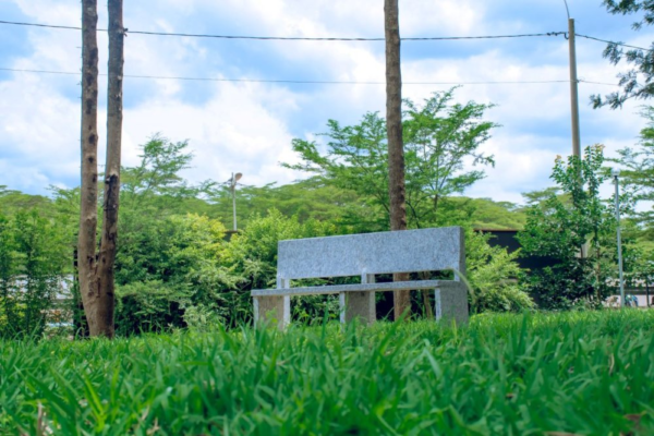 ubusitani