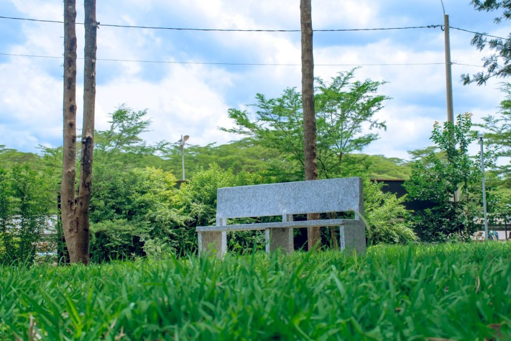 ubusitani